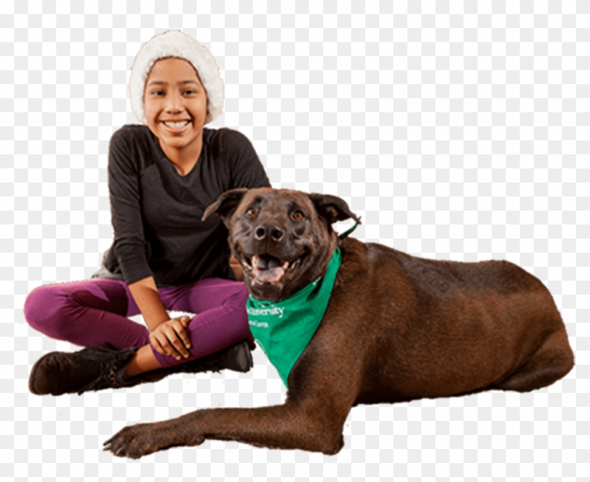 One Cure For Pets And People - Companion Dog Clipart