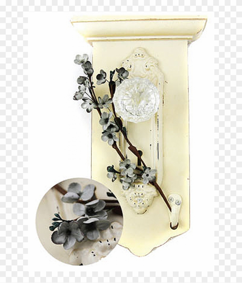 Still Life Photography Clipart