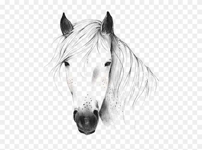 Penguin Drawing, Arts And Crafts Storage, Horse Drawings, - Drawn Horse Png Clipart #2721856