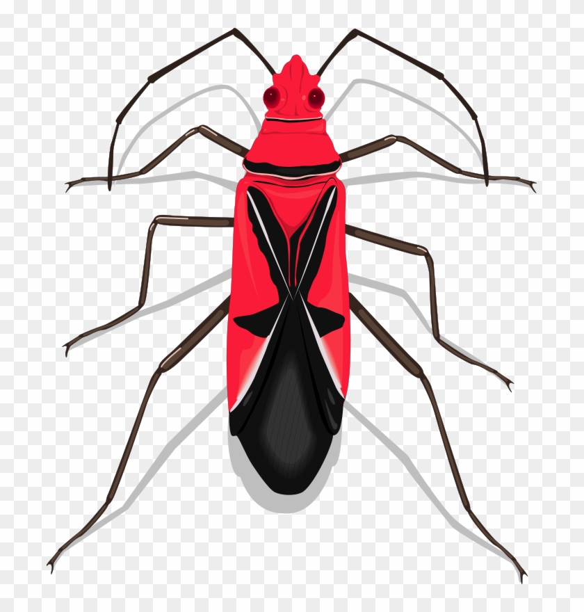 Insect 27 Free Vector - Insects Clipart #2723378