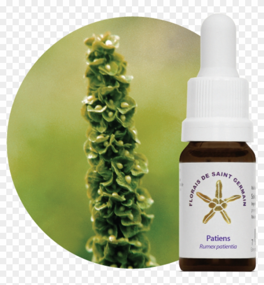 Mais Imagens Clipart