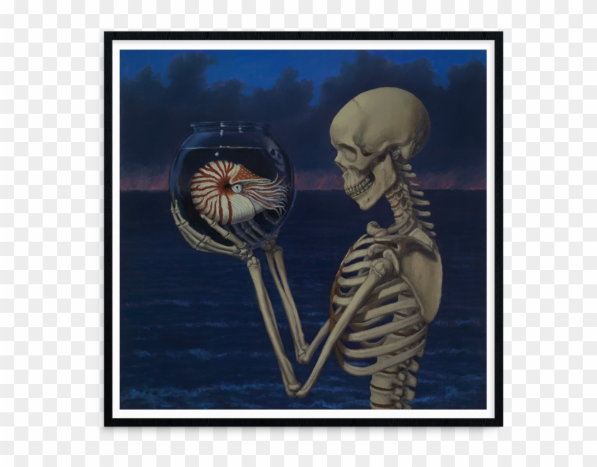 Skeleton Of Nautilus Clipart