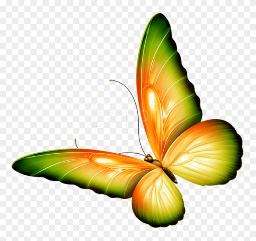 Free Png Download Yellow And Green Transparent Butterfly - Transparent Background Butterfly Clipart #2724178