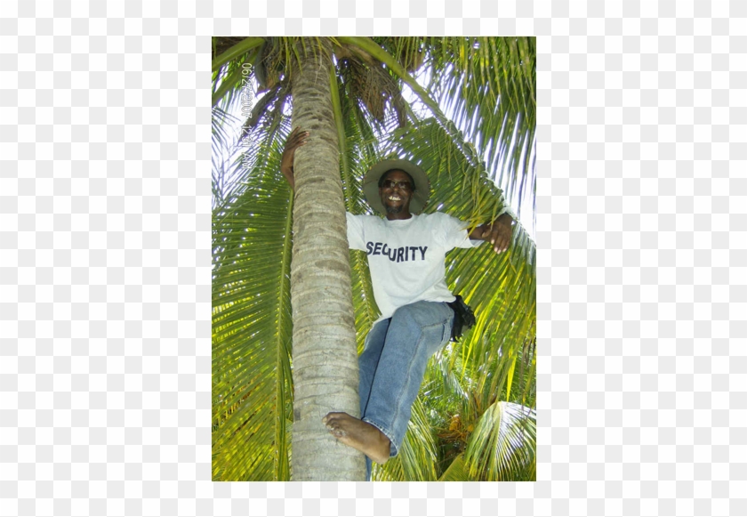 Nirvana On The Beach In Negril, Jamaica - Leisure Clipart