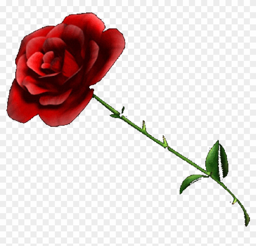 Rose - Rose With No Background Clipart #2725607
