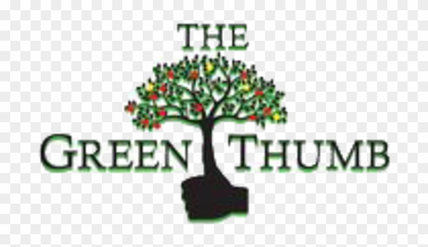 Jasmine James Fake Taxi - Bonsai Clipart #2725946