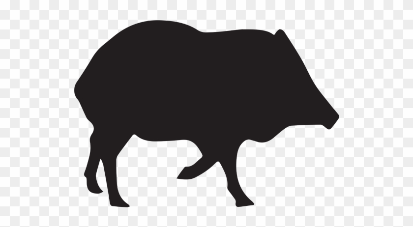 2019 Javelina / Turkey Hunting Rates - Buffalo Sticker Clipart