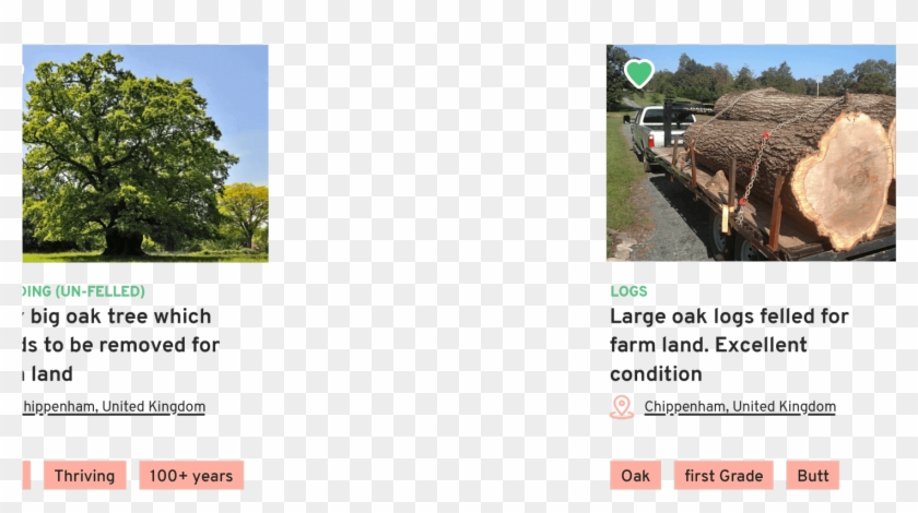 Trees And Timber Desktop Layer - Tree Clipart #2727238