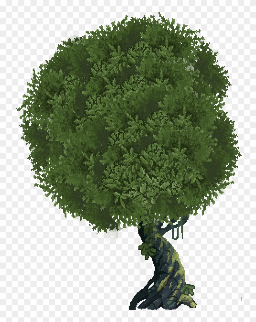 Whole-tree1 - Grass Clipart #2727304