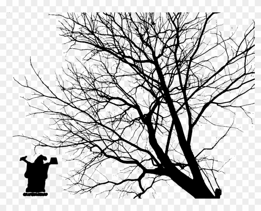 Tree Silhouette Official Psds - Trees Silhouette Psd Psd Clipart