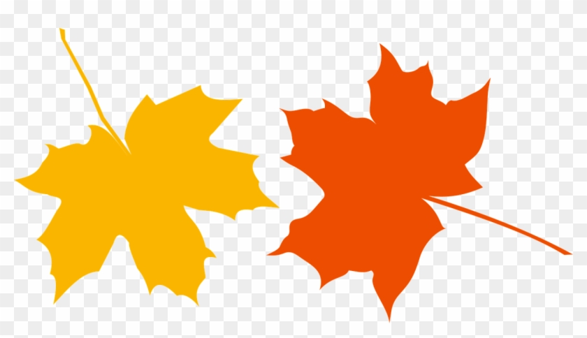 Autumn Defoliation Leaf - Hojas De Otoño Png Clipart