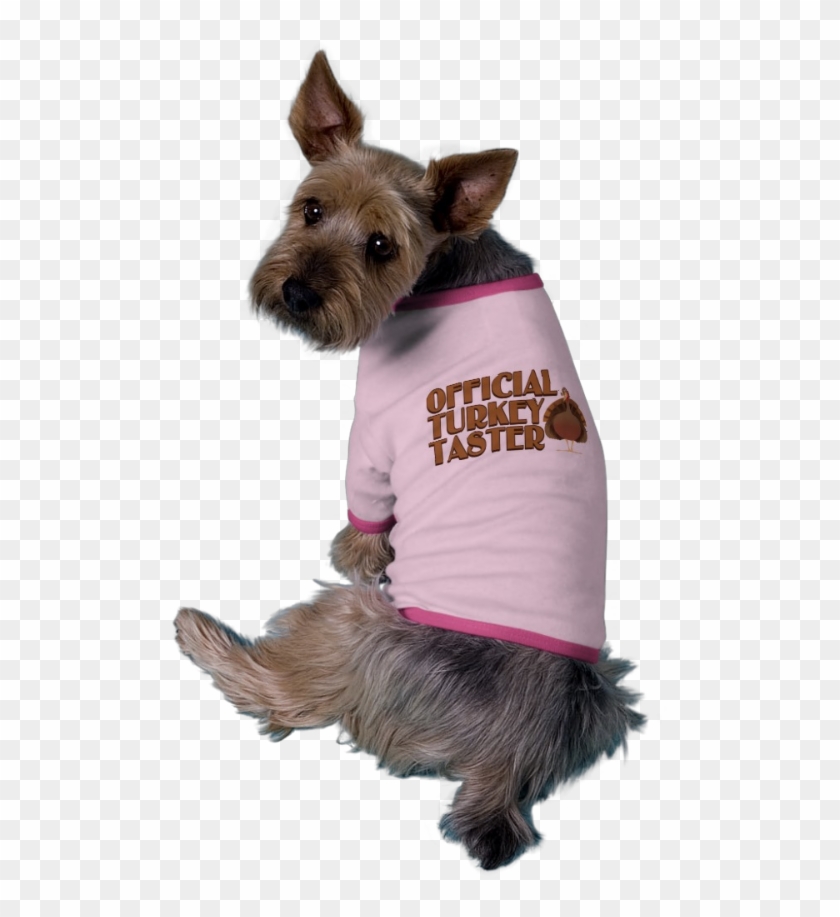 Cute Holiday Pet Shirt Official Turkey Taster - Cute Dogs Wearing Clothes Clipart #2729100