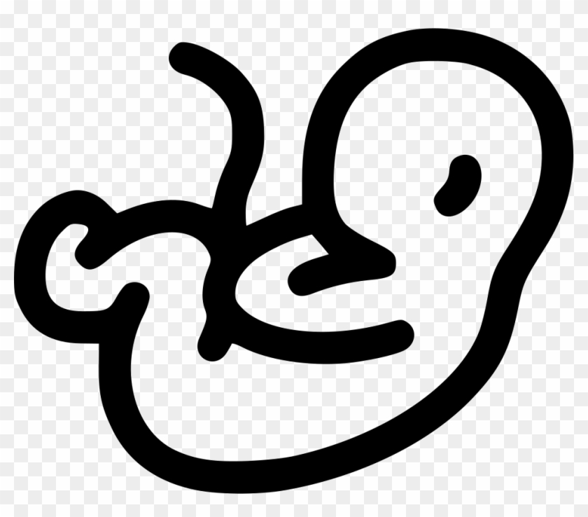 Embryo Png Transparent Background Clipart
