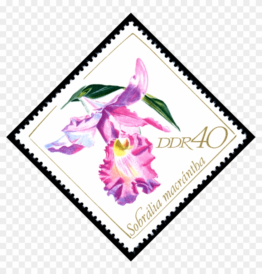 Stamps Of Germany 1968, Minr 1424 - The Sanctuary Clipart #2732027