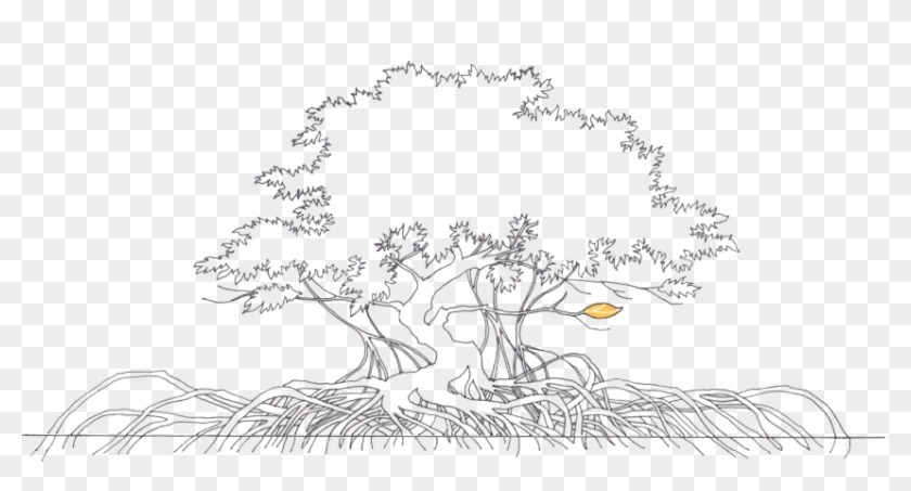 View Template - Mangrove Tree Drawing Clipart #2732309