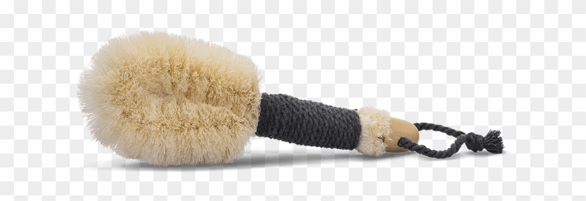 Jennifer Lawrence And Natalie Dormer Kissing On Camera - Dry Brush Sage Clipart #2732387