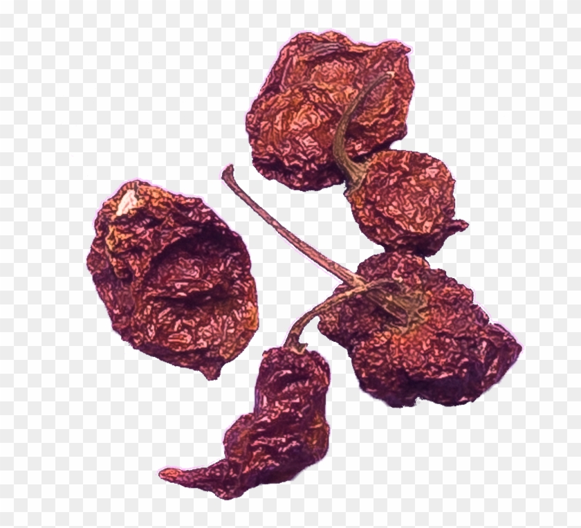 Carolina Reaper Png - Sultana Clipart #2732428