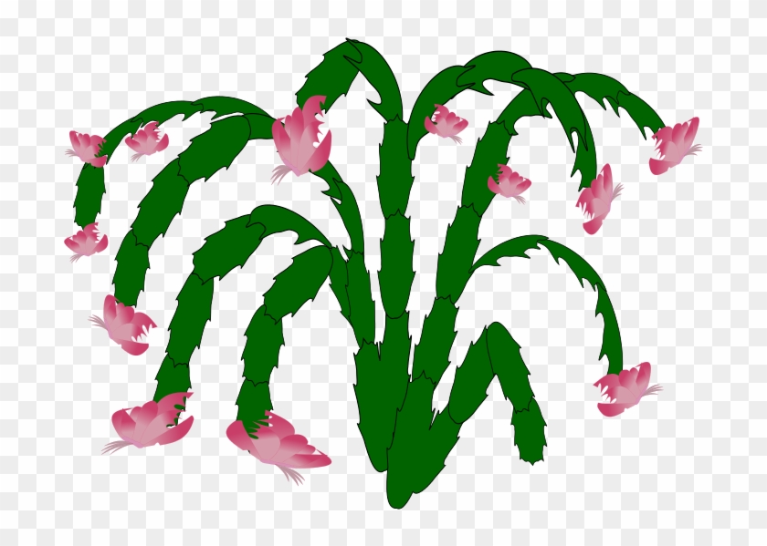 Cactus Man Free Plant-03 - Illustration Clipart #2734935