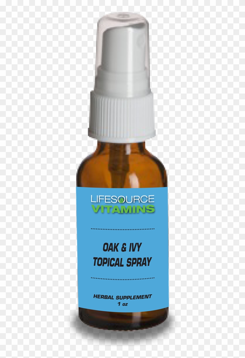 Oak & Ivy Spray - Glass Bottle Clipart #2735006