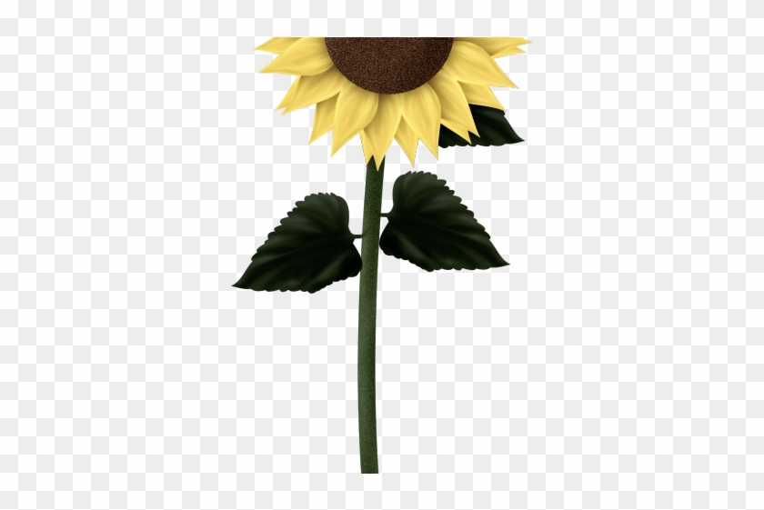 Sunflowers Clipart Cute - Sunflower Cute Transparent Background - Png Download