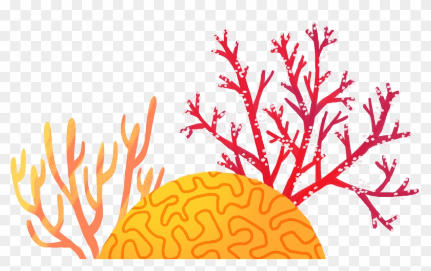 Coral Reefs Are Rich Ecosystems, Known As The Rainforests Clipart