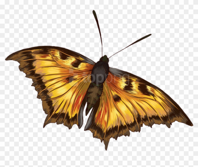 Free Png Butterfly Png Images Transparent - Clip Art #2738233