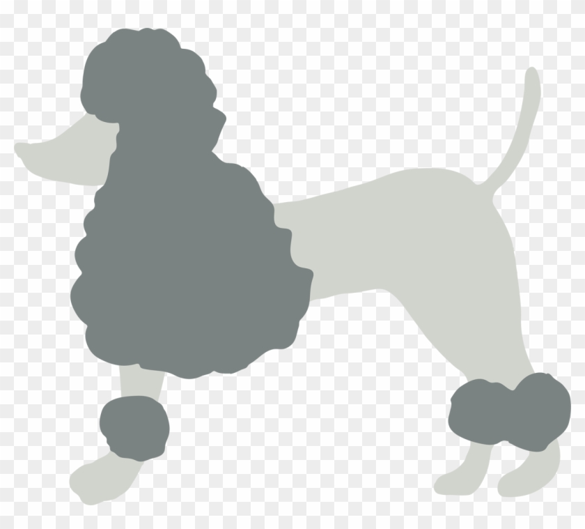 Poodle Svg Cut File - Miniature Poodle Clipart