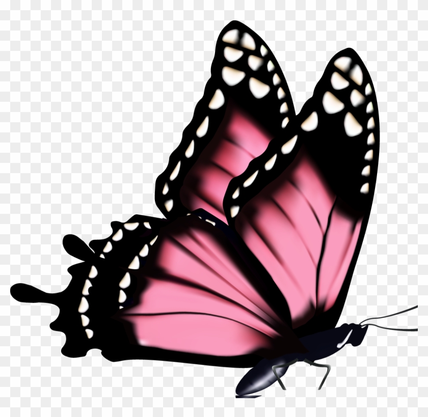 Pink Butterflies Png - Dibujo Mariposa Con Flores Clipart #2739512