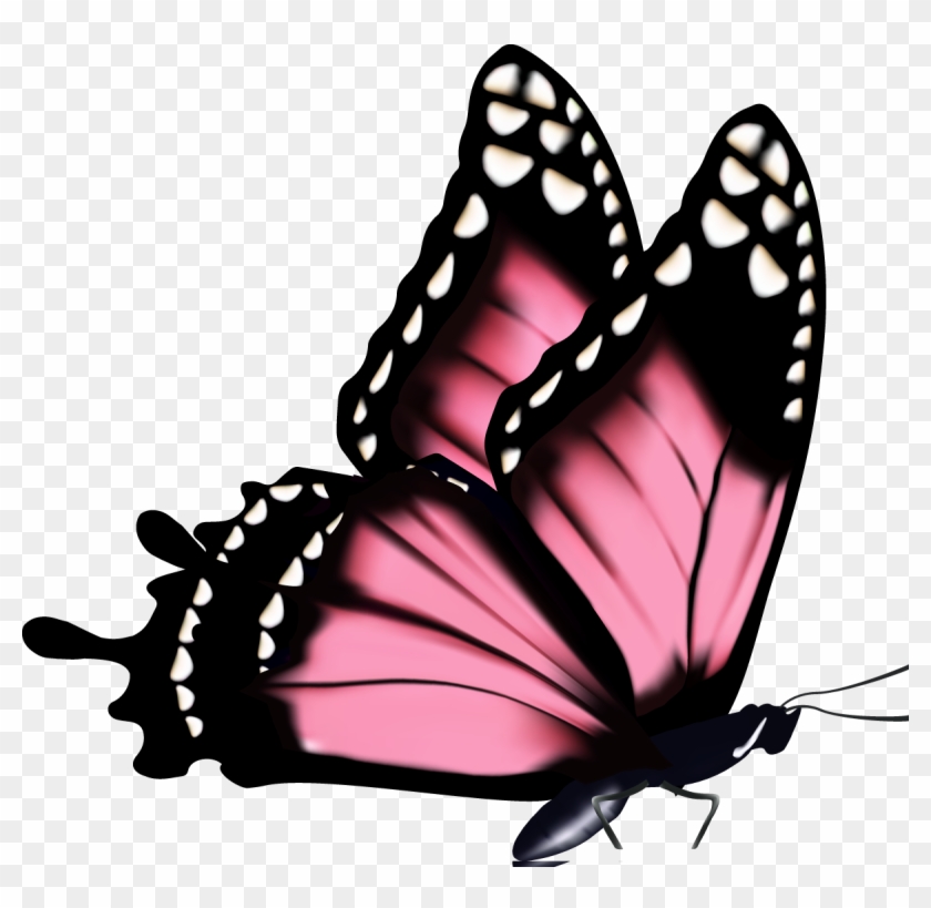 Pink Butterflies Png - Dibujo Mariposa Con Flores Clipart