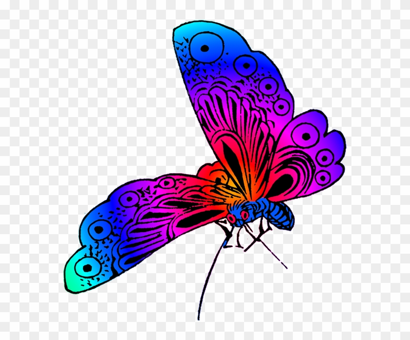 Indigo Clipart Butterfly Wing - Different Color Of Butterfly - Png Download