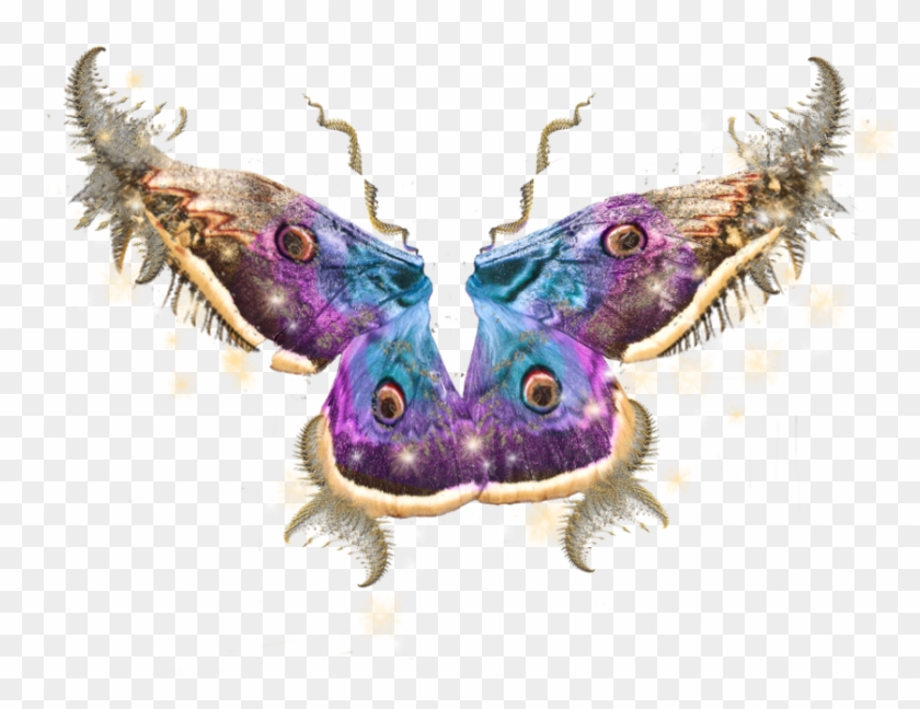 Fairy Wings Side View Png For - Butterfly Fairy Wings Png Clipart