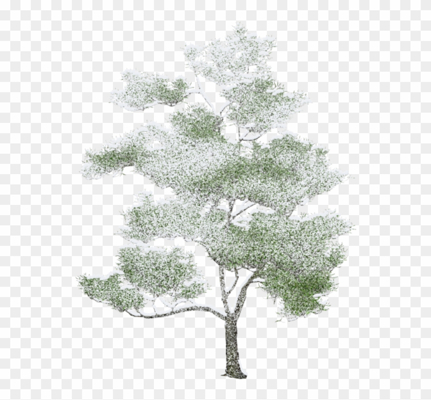 Arbre Png, Axonometric View, Rendered Plans, Landscape - Water Color Trees Png Clipart #2740567