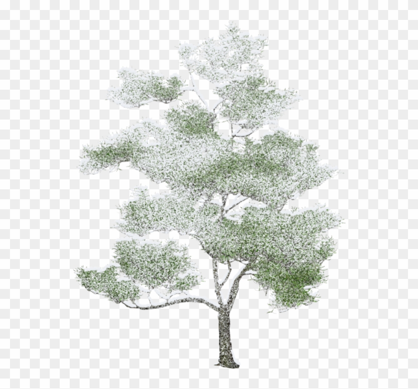 Arbre Png, Axonometric View, Rendered Plans, Landscape - Water Color Trees Png Clipart