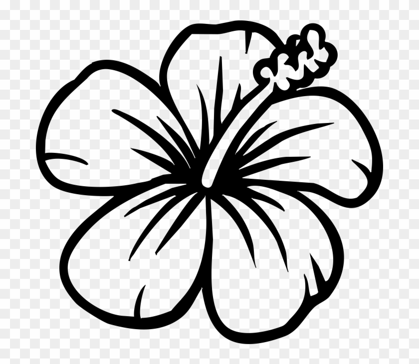 Flowers Silhouette - Hibiscus Step By Step Drawing Clipart