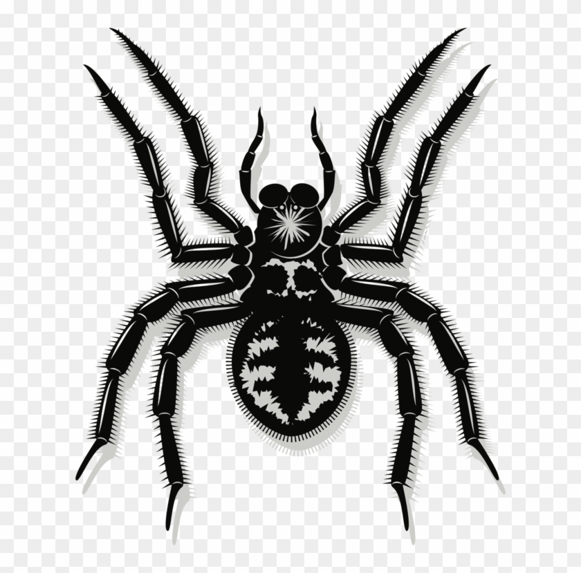 Spider Web Drawing Line Art Southern Black Widow - Vector Graphics Clipart #2741868