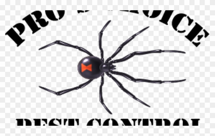 Us Air Force Clipart