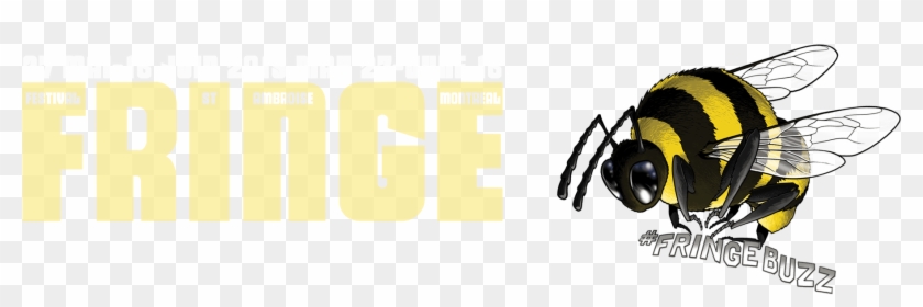 Search - Horse Flies Clipart #2741978