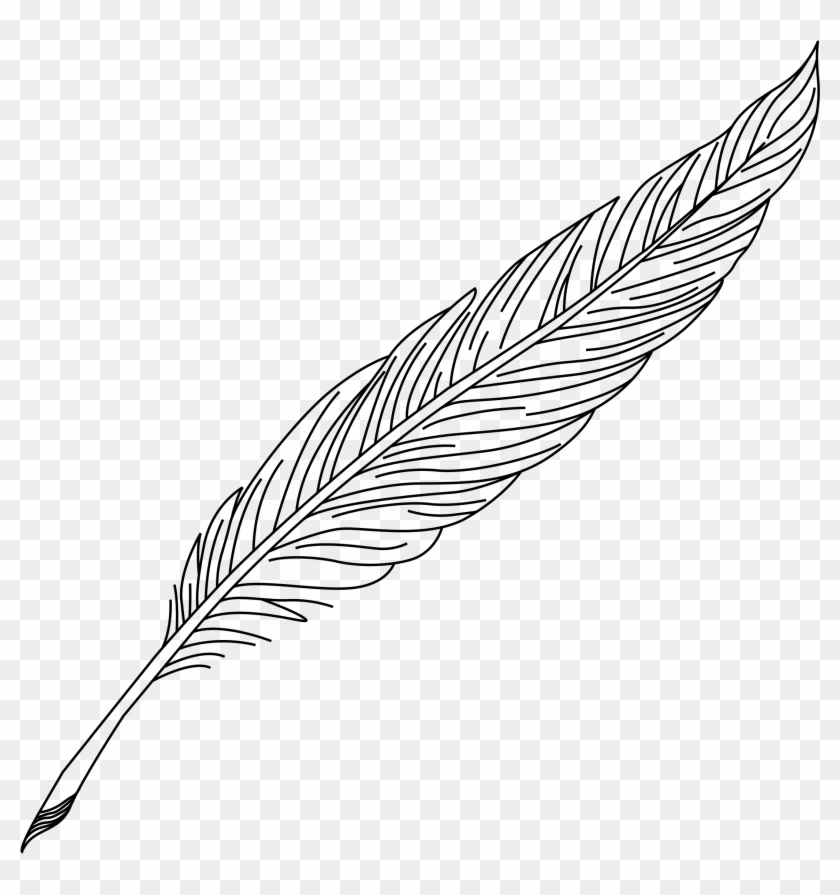 Quill Pen Drawing At Getdrawings - Pen And Ink Feather Drawing, HD Png Download