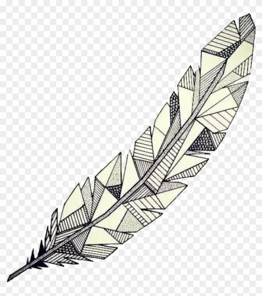 Drawing Feathers Fether - Desenho Geometrico De Animais Clipart #2742474