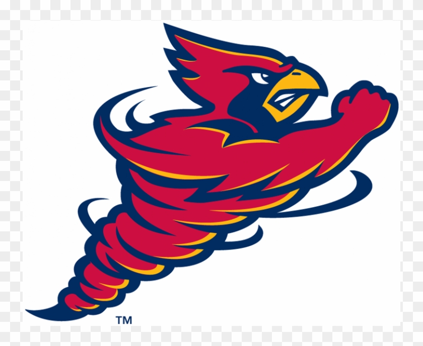Iowa State Cyclones Iron On Stickers And Peel-off Decals - Iowa State Cyclones Clipart