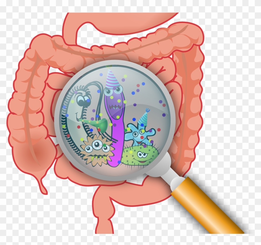 Researchers Find Bacteria Residing In Guts Of Mice - Trato Gastrointestinal Png Clipart