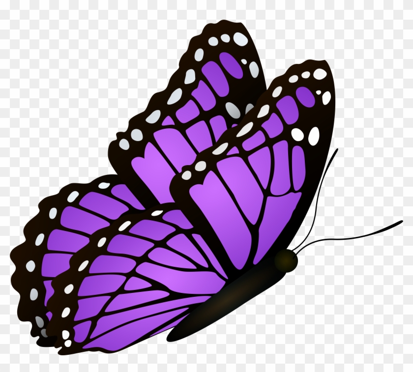 View Full Size Clipart