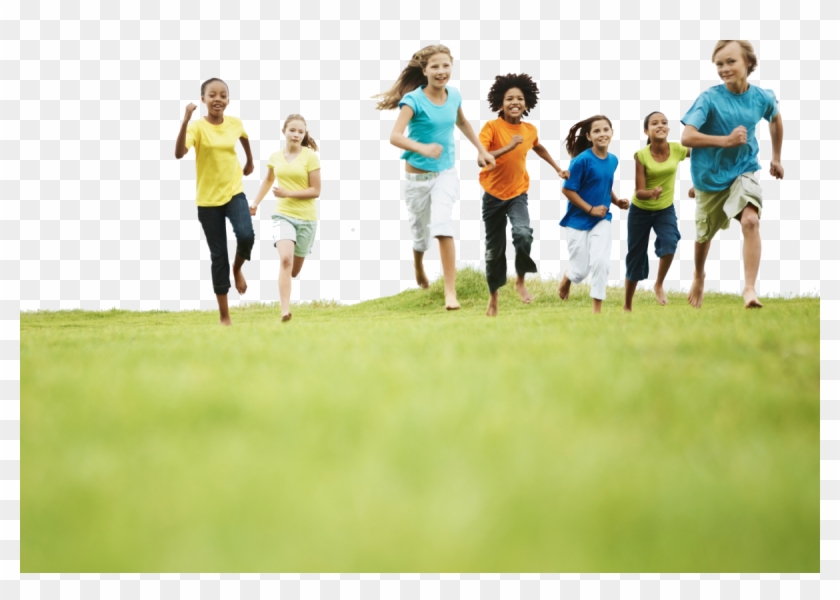 Survey & Review Clipart #2746385