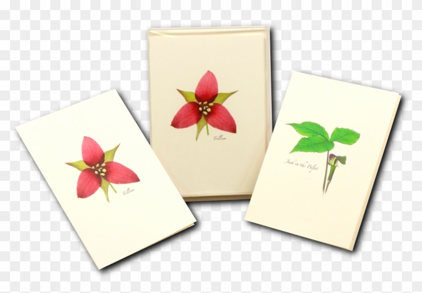 Shopping Cart -  -  - Greeting Card Clipart #2746715