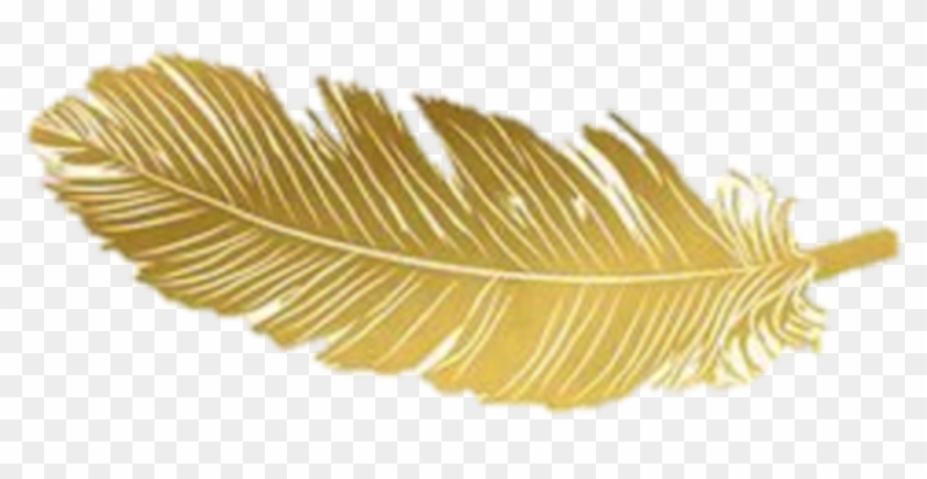 Feathers Native Boho Pretty - Gold Clipart