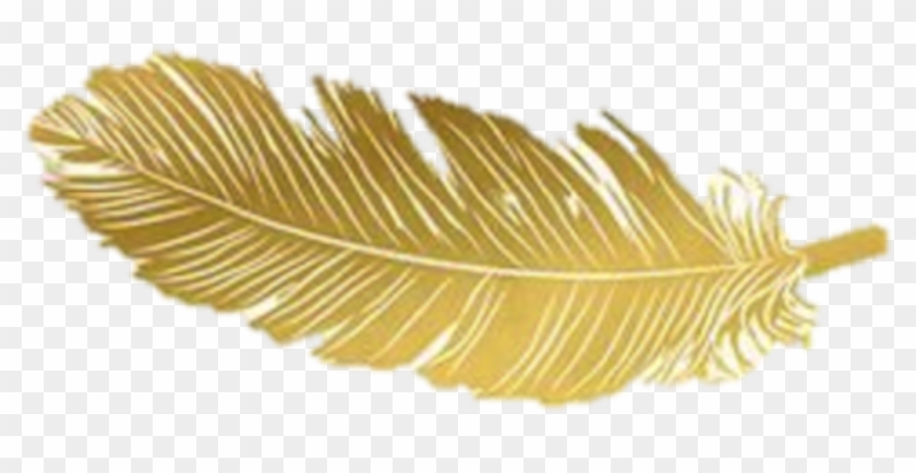 Feathers Native Boho Pretty - Gold Clipart #2748715