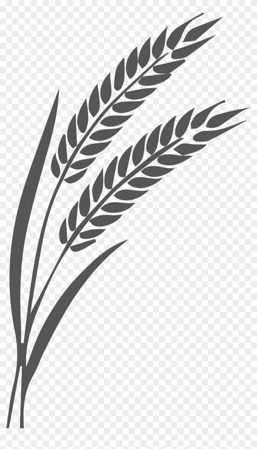 Linea De Trigo - Preto Branco Trigo Png Clipart #2749277