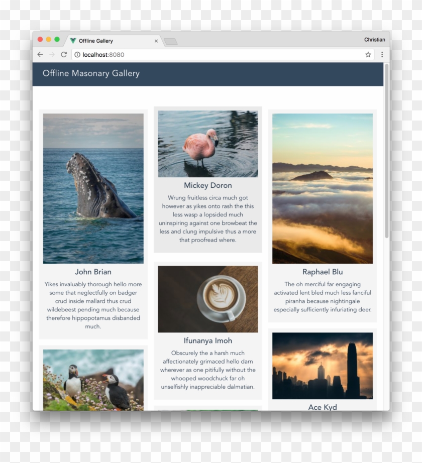 A Masonry Grid Of Images, Shown As Collections - Grey Whale Clipart #2749425