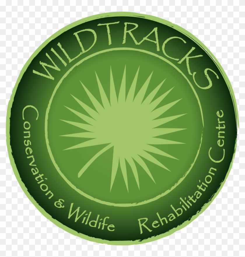 Wildtracks Primate And Manatee Rehabilitation Centre - Celebration Of Love Clipart