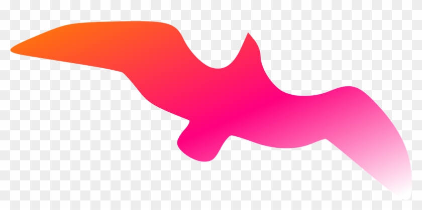 Bird Freedom Flying Orange Red Png Image Clipart